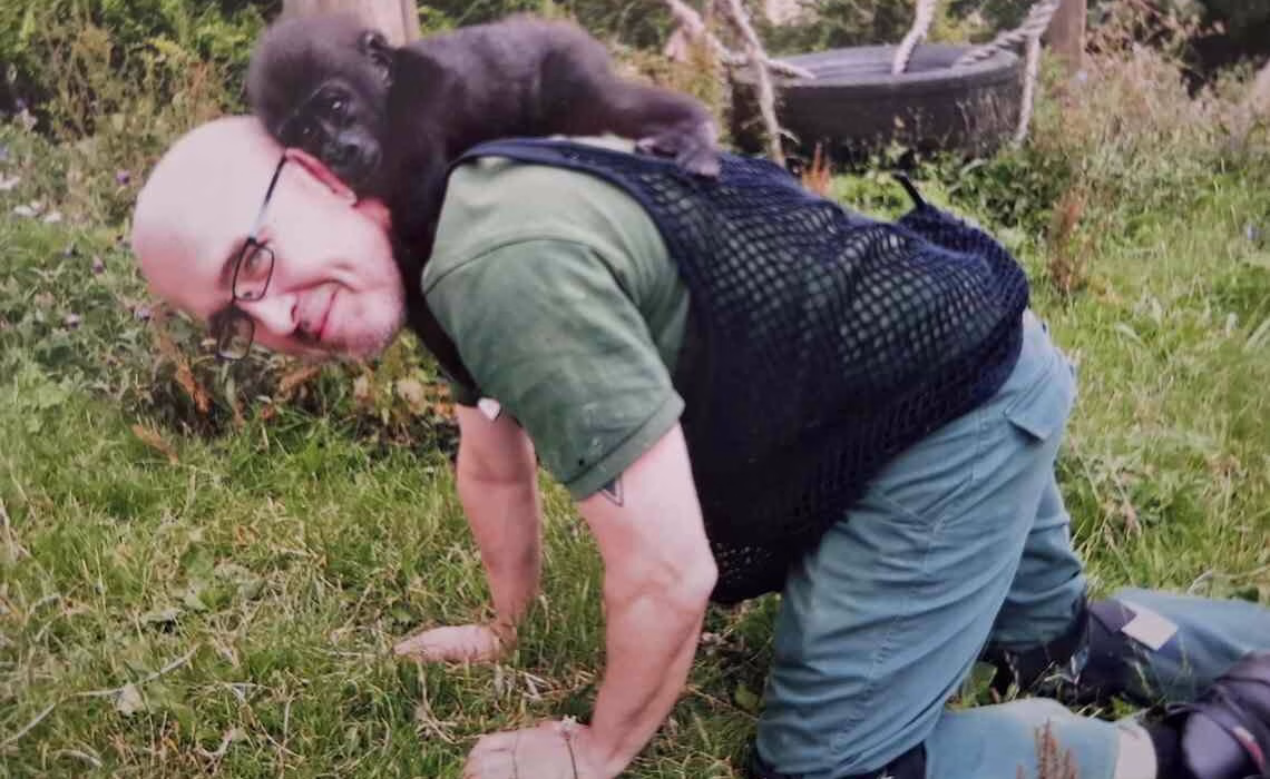 Bebek Goriller ve Üvey Babaları